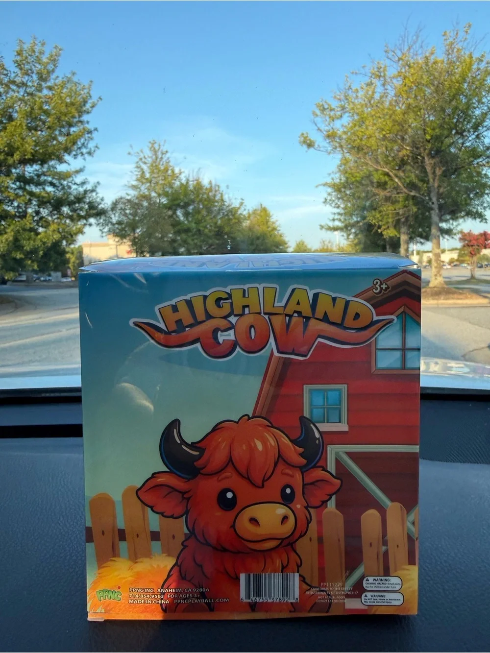 PPNC viral highland